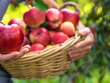 Μήλο: Θερμίδες και διατροφική αξία