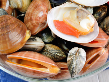 Όστρακα: Eίδη – Καθάρισμα – Μαγείρεμα