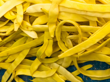 Κίτρινα φασολάκια, (Καναρίνια)