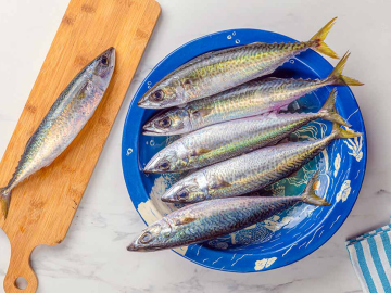 Κολιός: Το ψάρι του Αυγούστου που δεν λείπει από το ελληνικό τραπέζι