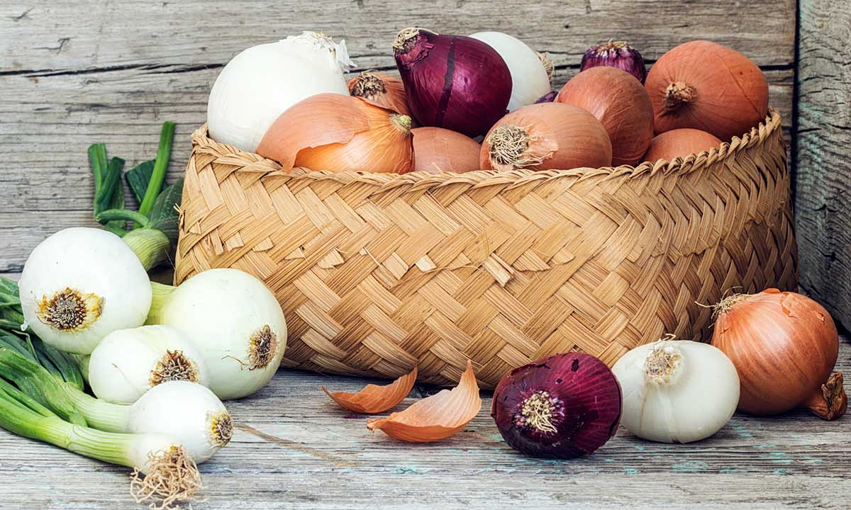 κρεμμύδια - είδη κρεμμυδιών - κρεμμύδια διατροφική αξία
