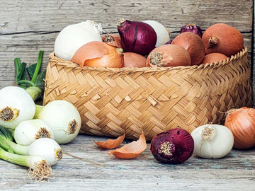 Κρεμμύδια: Διατροφική Αξία και Οφέλη που πρέπει να γνωρίζετε